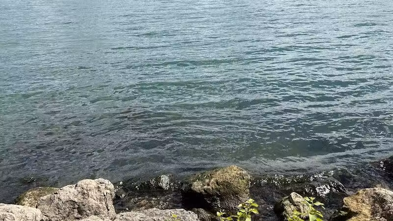 Elizabeth Park - Trenton,