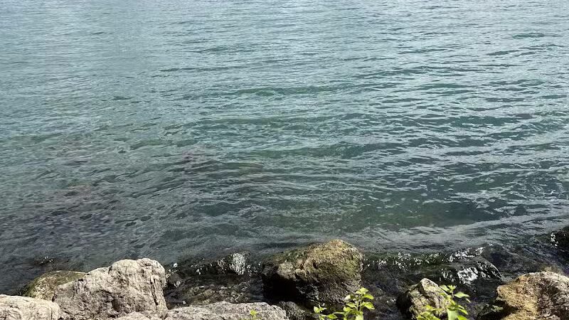 Elizabeth Park - Trenton,