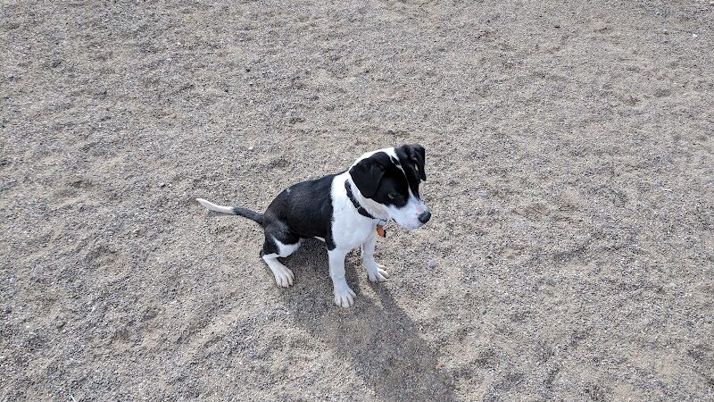 City Dog Park - Trinidad, CO