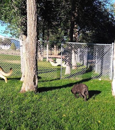 City Dog Park - Trinidad, CO