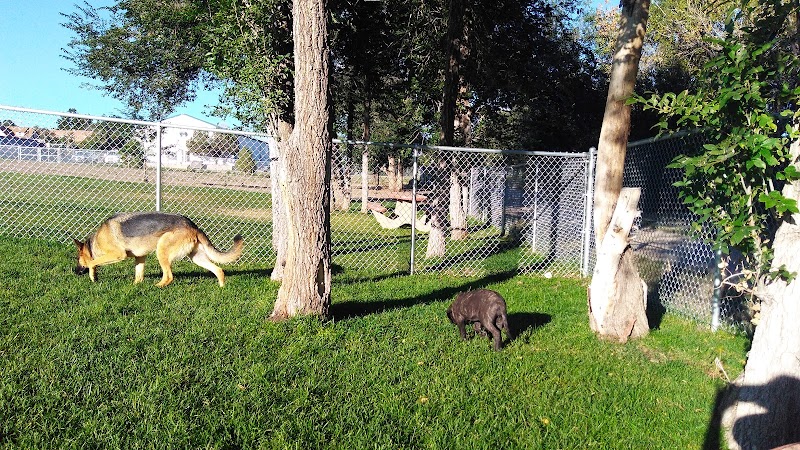 City Dog Park - Trinidad, CO