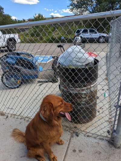 City Dog Park - Trinidad, CO