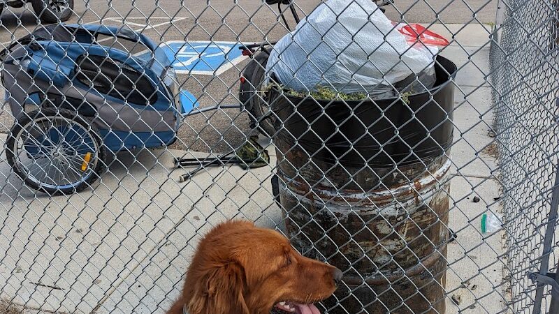 City Dog Park - Trinidad, CO