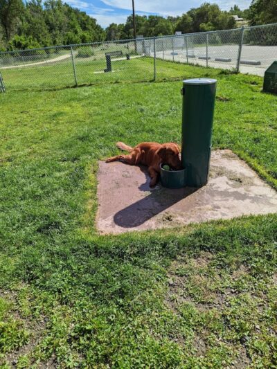 City Dog Park - Trinidad, CO