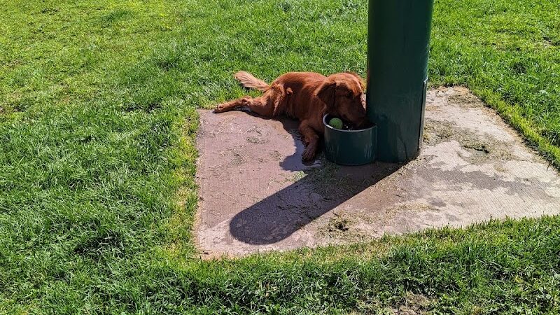 City Dog Park - Trinidad, CO