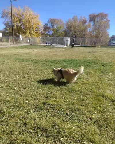 City Dog Park - Trinidad, CO