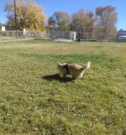 City Dog Park - Trinidad, CO