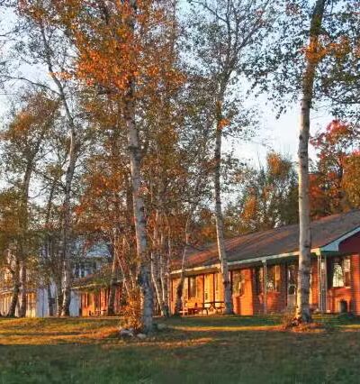 Birch Lodge & Motel - Trout Lake, MI