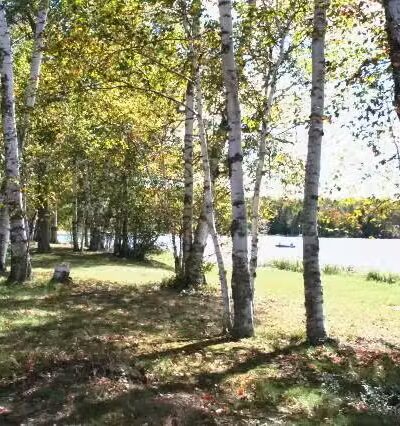 Birch Lodge & Motel - Trout Lake, MI