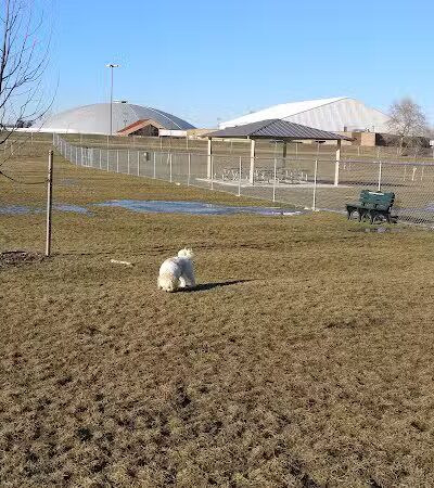 Daisy Knight Dog Park - Troy, MI