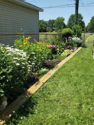 Gracie's Romping Rounds - Troy,