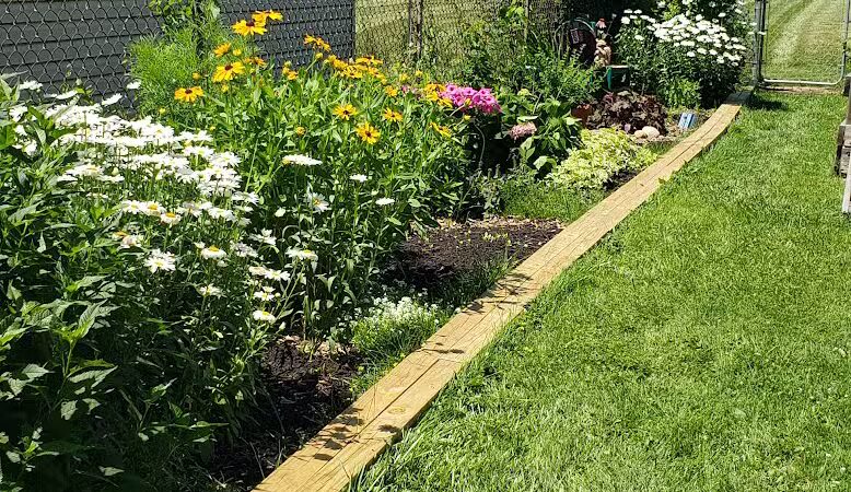 Gracie's Romping Rounds - Troy,