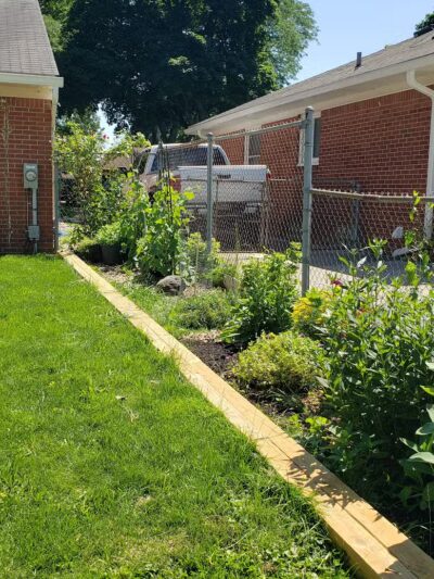 Gracie's Romping Rounds - Troy,