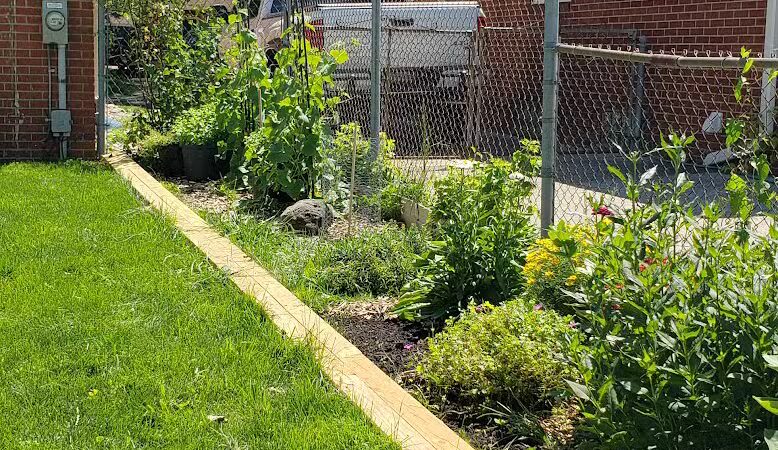 Gracie's Romping Rounds - Troy,