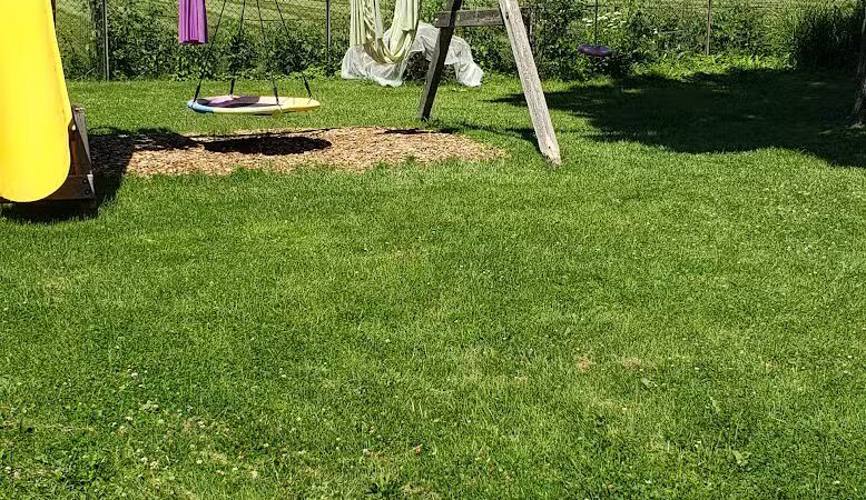 Gracie's Romping Rounds - Troy,