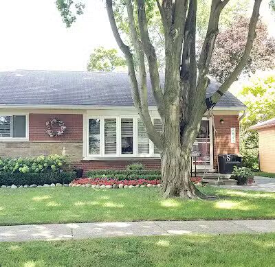 Gracie's Romping Rounds - Troy,