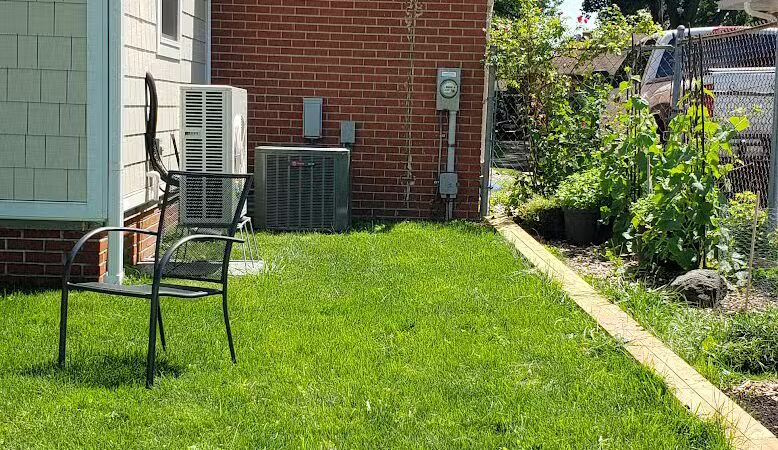 Gracie's Romping Rounds - Troy,