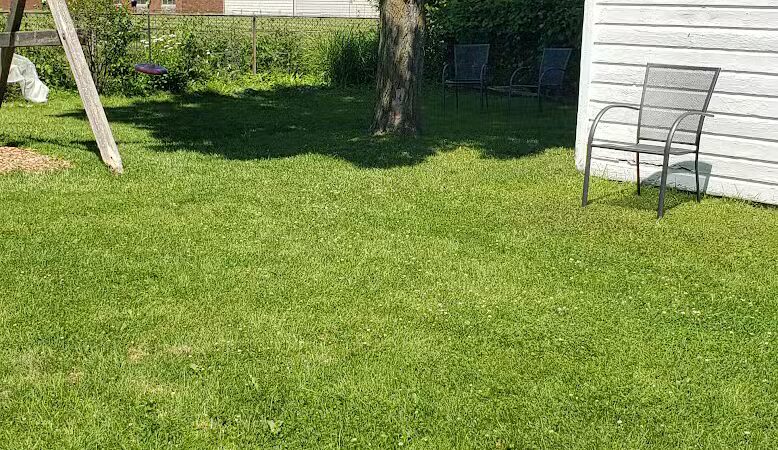 Gracie's Romping Rounds - Troy,