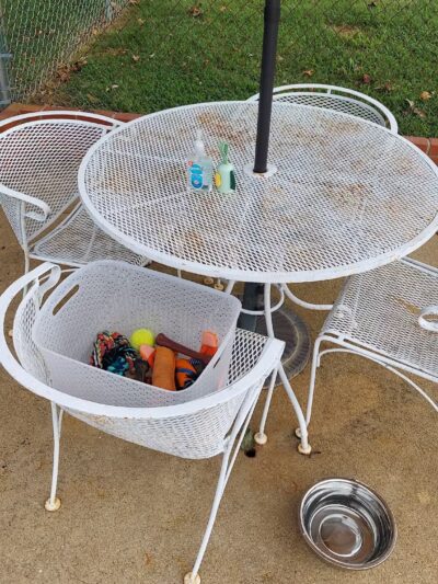 Private Dog Yard and Pool - Troy, VA