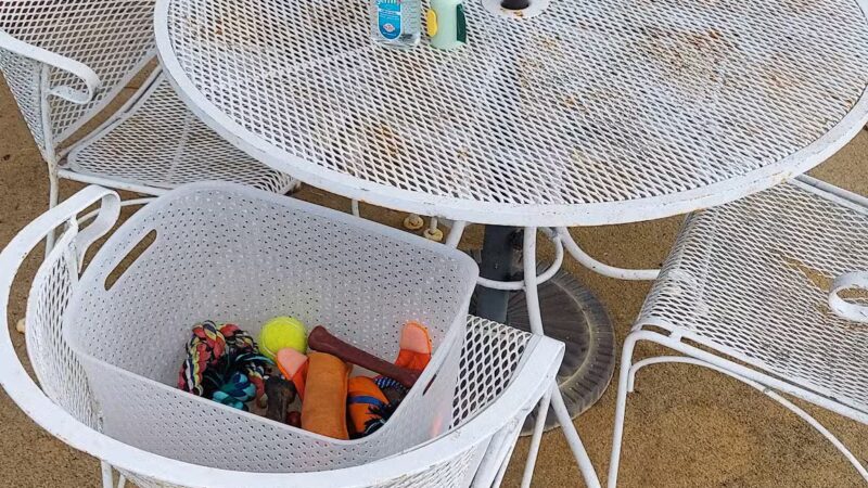 Private Dog Yard and Pool - Troy, VA