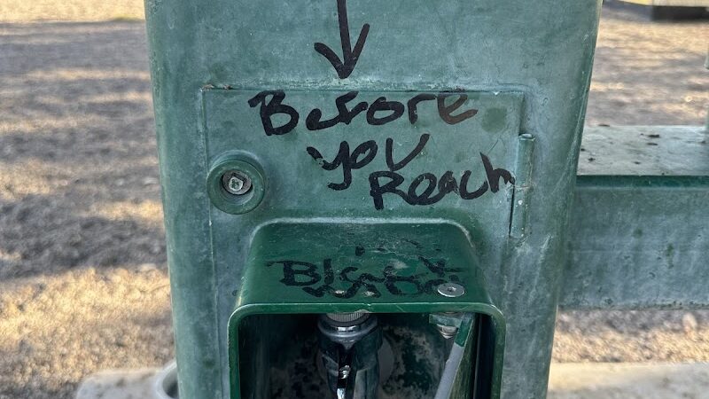 Palo Verde Dog Park - Tucson, AZ