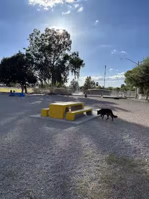Palo Verde Dog Park - Tucson, AZ