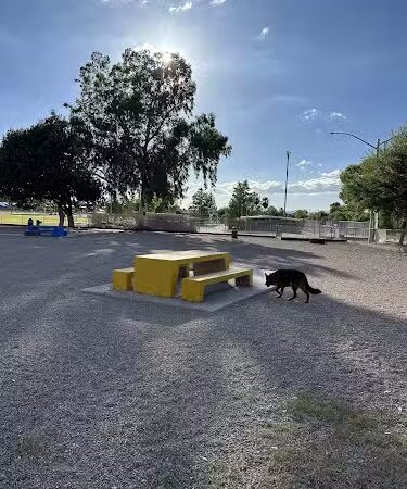 Palo Verde Dog Park - Tucson, AZ