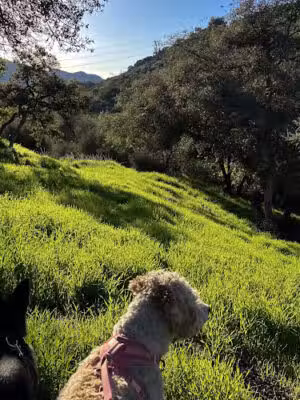 Haines Canyon Park - Tujunga, CA
