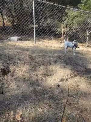 McGroarty Park - Tujunga, CA