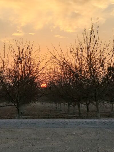 Elk Bayou Park - Tulare, CA