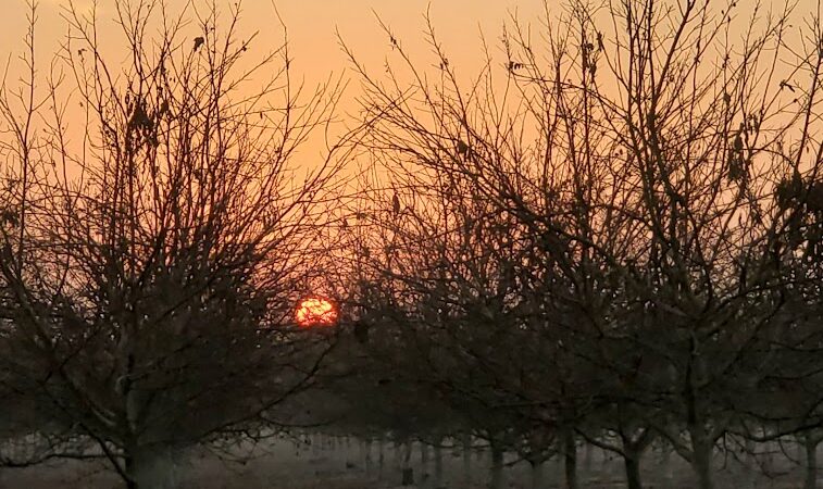 Elk Bayou Park - Tulare, CA