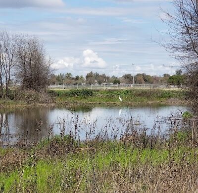 Elk Bayou Park - Tulare, CA