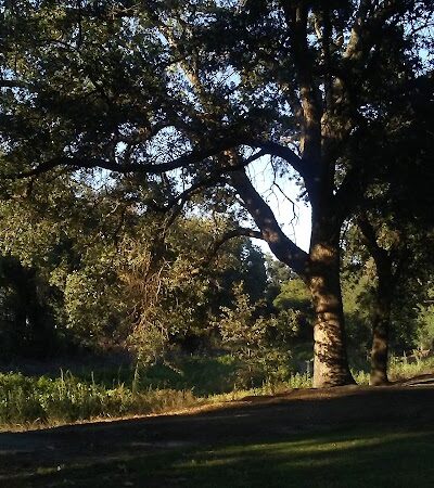Elk Bayou Park - Tulare, CA