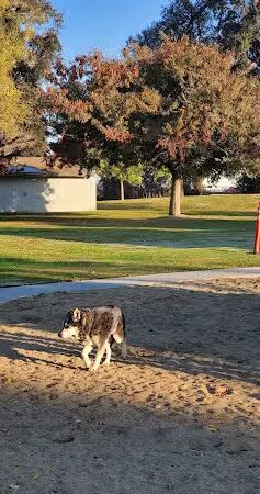 Elk Bayou Park - Tulare, CA