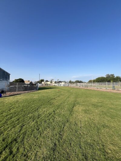 K9 Bane Dog Park - Tulare, CA