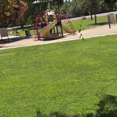 Elk Bayou Park - Tulare, CA