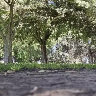 Elk Bayou Park - Tulare, CA