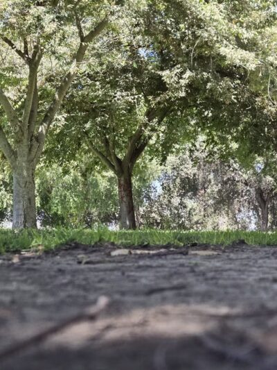 Elk Bayou Park - Tulare, CA