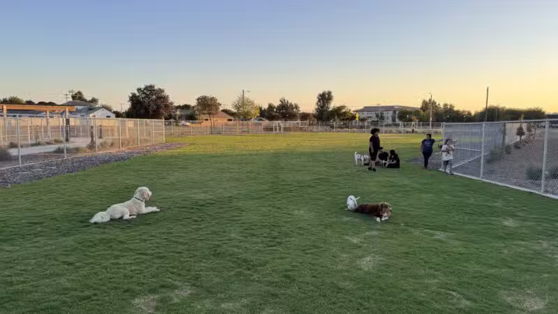 K9 Bane Dog Park - Tulare, CA