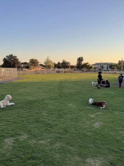 K9 Bane Dog Park - Tulare, CA