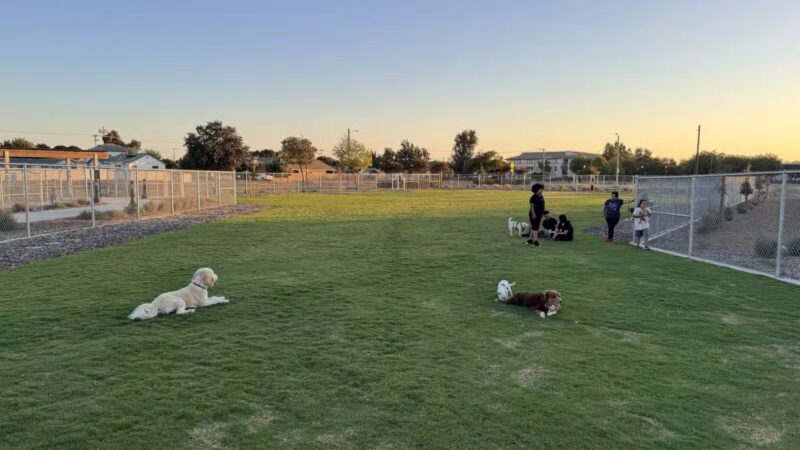 K9 Bane Dog Park - Tulare, CA