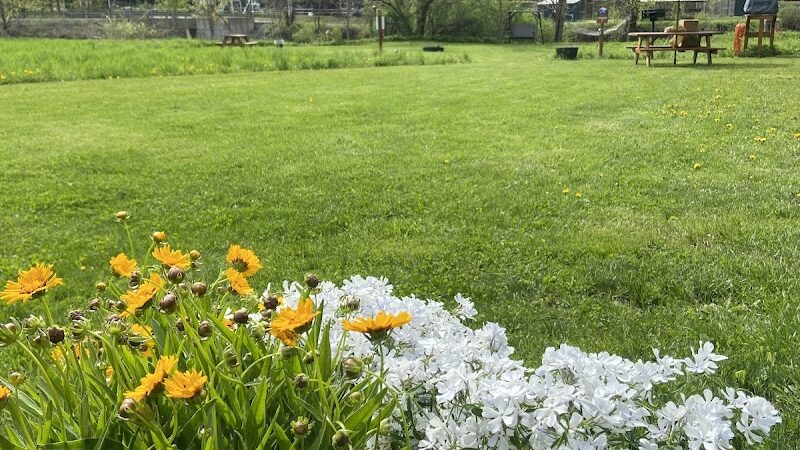Dome@Meadows - Tunbridge, VT