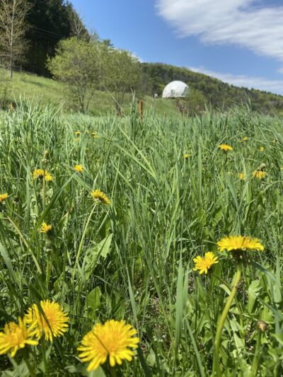 Dome@Meadows - Tunbridge, VT