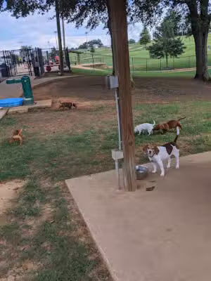 Will May Dog Park - Tuscaloosa, AL