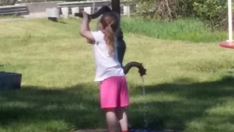 Little Creek Park - Tustin,