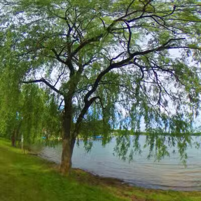 Padley Park - Twin Lake,