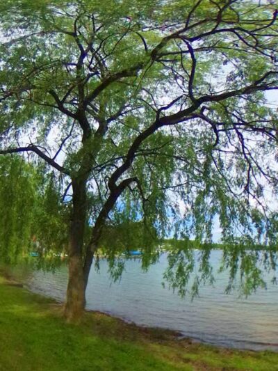 Padley Park - Twin Lake,