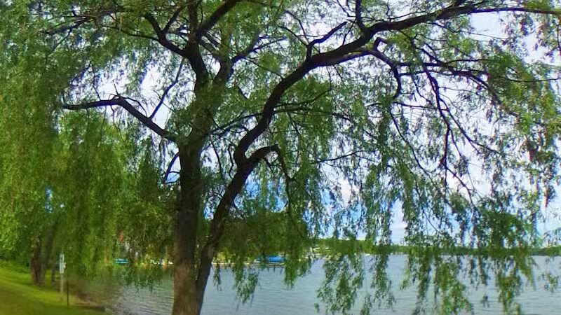 Padley Park - Twin Lake,