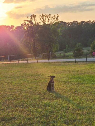 Bossart Park - Tyler, TX