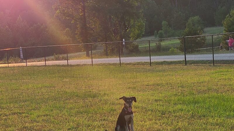 Bossart Park - Tyler, TX